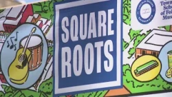 Weekend Break: Square Roots in Lincoln Square