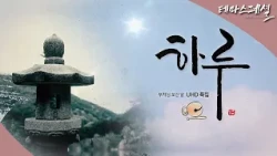 [#테마스페셜] 하루, 부처님오신날 특집 / G1 방송 / 2026.05.23