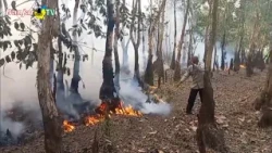 TIM GABUNGAN BERJIBAKU PADAMKAN KARHUTLA DI TUNGKARAN