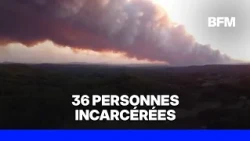 Incendies en France: 375 personnes, dont 142 mineurs, interpellées en lien avec les feux