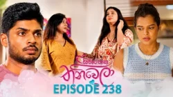 Sihineka Thaniwela (සිහිනෙක තනිවෙලා) | Episode 238 - (2026-09-01) | ITN