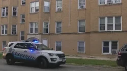 1-year-old girl dies after being found with injuries on Chicago's North Side