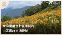 Taimali Daylily Season Kicks Off with Mountain Traffic Controls | Daily News Highlights | Indigen...
