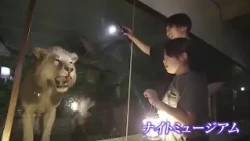 Experience the Museum at Night! "Night Museum" in Tsuyama City [Okayama] (08/12/26 12:00)