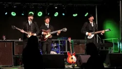Baronova holota a The Beatles Revival