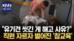 Fired for washing stray dogs with his own money, "Is the boss crazy?" Boycott delivers instant ka...