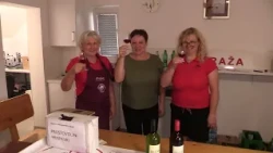 Vinogradniški dan v Straži