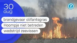 Zeeland Nu, zondag 30 augustus 2026