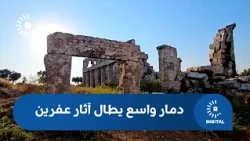 Fate of the Ain Dara basalt lion unknown amidst widespread destruction of Afrin’s antiquities