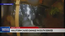 Tree crashes into Centennial home during storm: Caught on camera