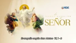 Reflected Gospel 📖 August 6🕊️
