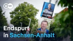 Wahl Sachsen-Anhalt: AfD vor Machtprobe im Osten