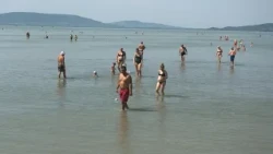 Apadó Balaton