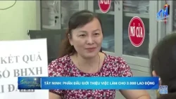 Tay Ninh: Aiming to provide job placements for 3,000 workers