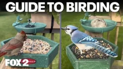 Beginner's Guide to Birding, Freaky Fungus, Lake St. Clair Fish Cleaning | Brother Nature