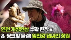 해피 벌쓰데이: 서태훈의 경기도 연천군 [2TV 생생정보] | KBS 261015 방송