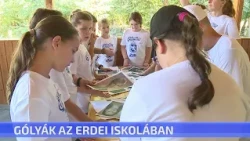 Gólyák az Erdei Iskolában