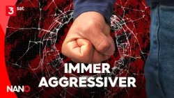 Why We Are Getting Angrier and Angrier I NANO