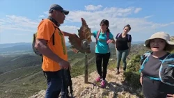 RUTA AL GRONY DE MIRALLES. Quadern de Rutes