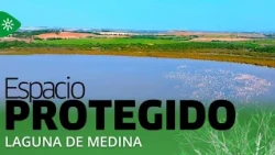 Protected Area | Laguna de Medina