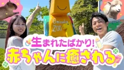 [Hamidase KBC] Fluffy and Adorable! Going to Meet the Newborn Babies!