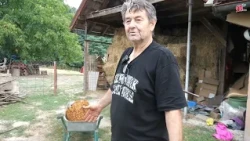 "Otac me u 6 ujutro probudi da čuvam goveda, a danas omladina spava do tri… Takav vakat doš'o"