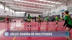 Volleyball: a passion for the masses 🏐👏