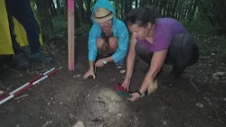 Letná škola archeológie