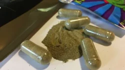 Mississippi lawmaker calls for another look at kratom laws after Ole Miss student deaths