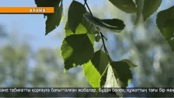 Law on climate issues signed
