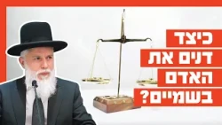 Rabbi Zamir Cohen - How Is a Person Judged in Heaven?