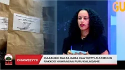 ‘'Balfa gara xaa’oo uumamaatti jijjiiruun rakkoo hawaasaa furu hojjedhe’-  Feeneet Geetaachoo