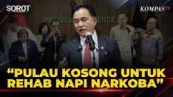 Menko Yusril Bicara soal Rehabilitasi Napi Narkoba di Pulau Terpencil
