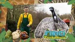 Fíricí Fíochmhara | Éamúnna | Amhrán 🪺