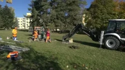 Výbeh pre psov na Nábreží sa stáva realitou