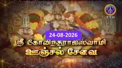 GT Sri Govindarajaswamy vari Unjal seva || Tirupati || SVBC2 TAMIL || 24-08-2026 || SVBC TTD