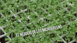 - TvAgro by Juan Gonzalo Angel