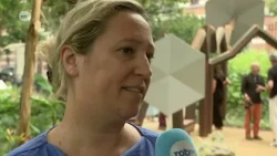 Decolonization artwork in Kruidtuin Leuven encourages passersby to reflect on the consequences of...