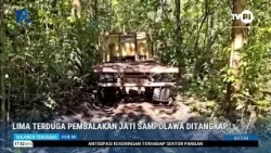 LIMA TERDUGA PEMBALAKAN JATI SAMPOLAWA DITANGKAP