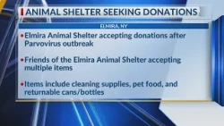 Elmira Animal Shelter seeks donations from community