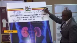 MoH and Partners Launch Guidelines for Chronic Kidney Disease Management