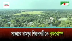 Tree Plantation in Savar Tannery Estate and Stakeholder Consultation