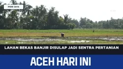 Flood-Hit Land Transformed into Agricultural Hub | Aceh News Today