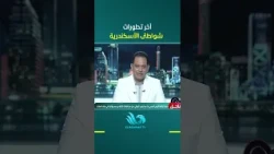 We must take a stand on what is happening in Alexandria Governorate .. Hossam El-Din Hussein reve...