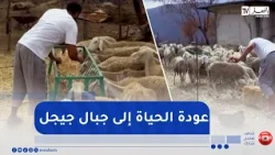 Jijel: In-kind compensation reaches farmers—pastoral life begins to bloom again