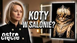 TAKIEGO SALONU JESZCZE NIE WIDZIELIŚCIE 😳 KOTY SĄ WSZĘDZIE 😻 | Ostre cięcie | Ostre cięcie