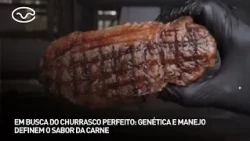 Em busca do churrasco perfeito: genética e manejo definem o sabor da carne
