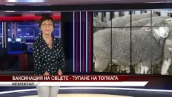 Агрокоментар: Ваксинация на овцете - тупане на топката