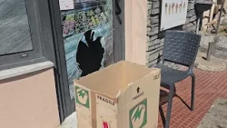 Doppia spaccata e furto in Albaro, colpiti un bar e una gelateria di corso Italia