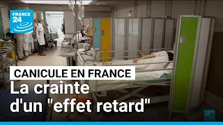 Canicule : la crainte d'un "effet retard" en France • FRANCE 24